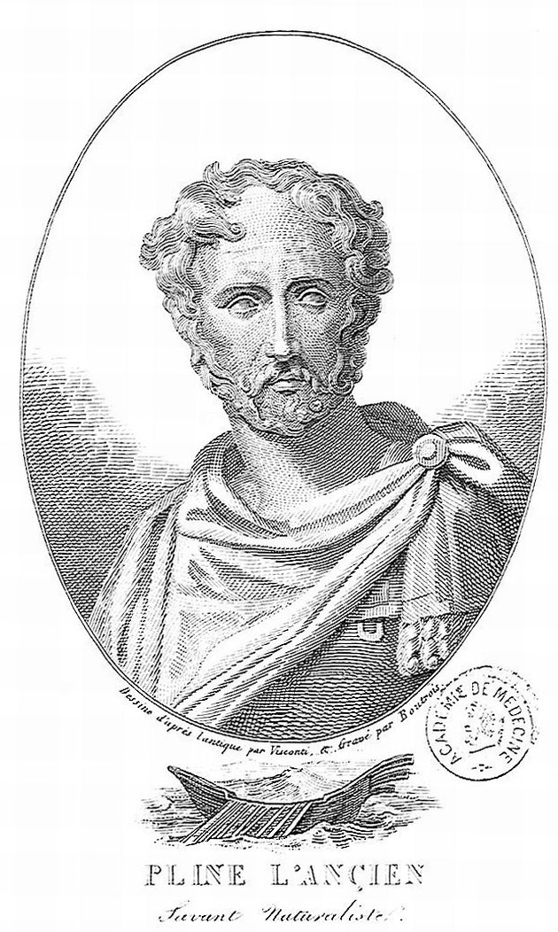 Pliny the Elder, story teller of the world L'ItaloAmericano