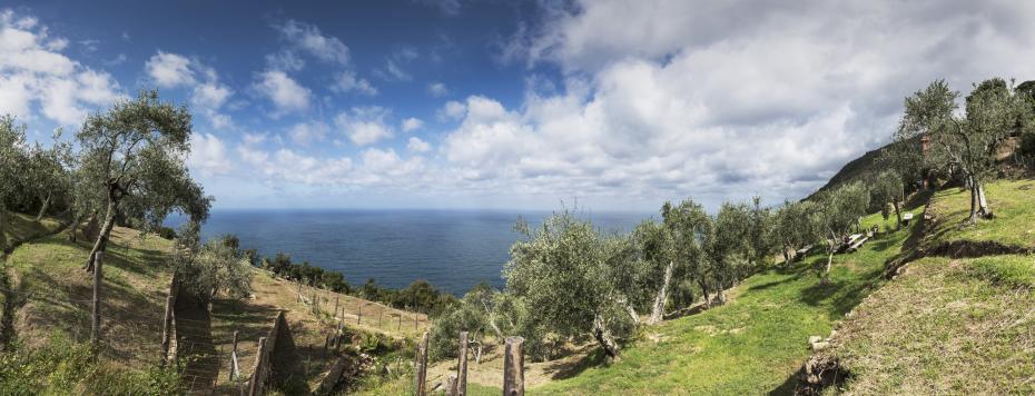 Podere Case Lovara at Punta Mesco, Levanto, A Farm Located Within the Cinque Terre National Park