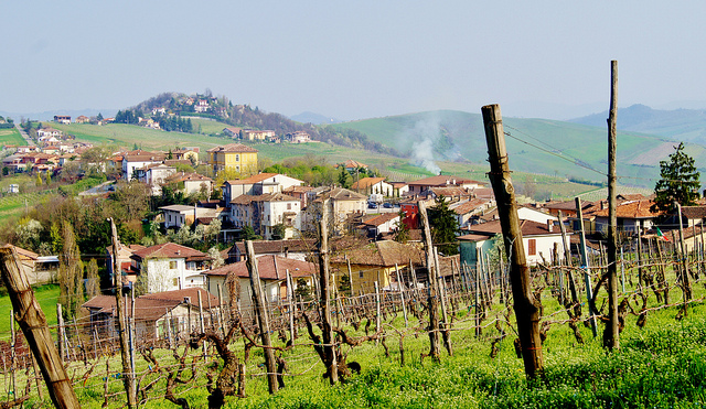 The vineyards of the Oltrepò Pavese