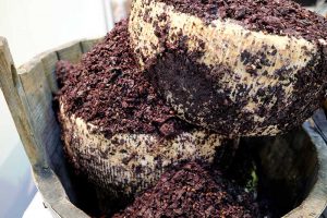 Pecorino Toscano, the oldest Italian cheese