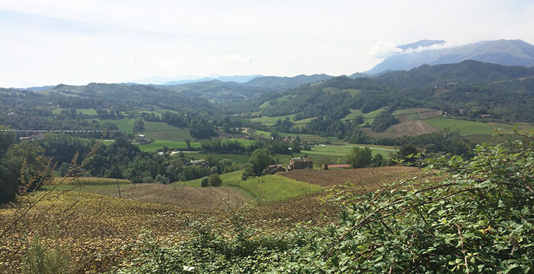 On our cammino to Amandola (Gran Sasso mountain_ far left)