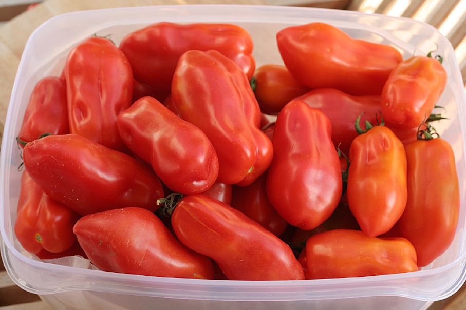 What Makes San Marzano Tomatoes Special?