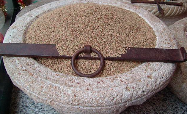 The lentils of Castelluccio