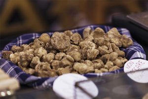 White Truffle from Alba (Piedmont). Photo by Duchesse