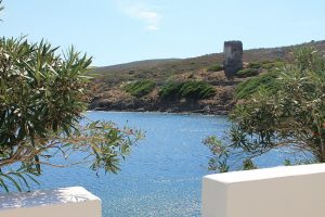 Oltre a far parte del santuario dei cetacei, l’isola della Sardegna è parco nazionale e ospita il caratteristico asinello bianco (Ph. Antonellaspi-Pixabay)