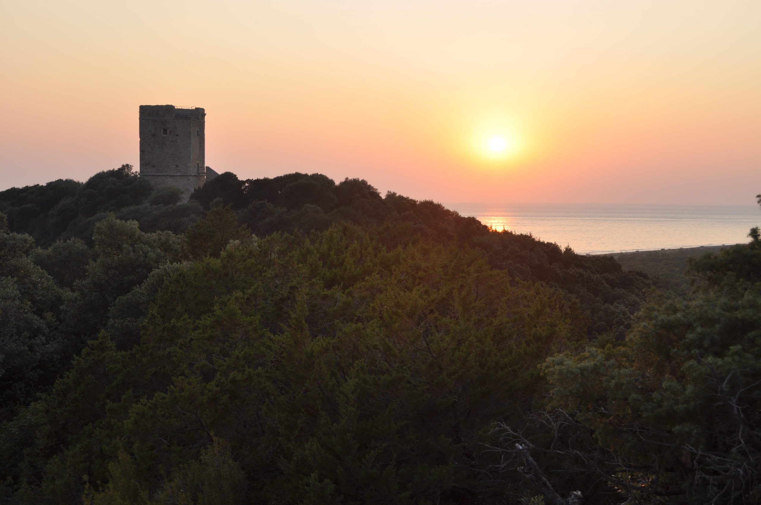 Torre di Collelungo nel Parco Regionale della Maremma (Ph. L.Ferrari)