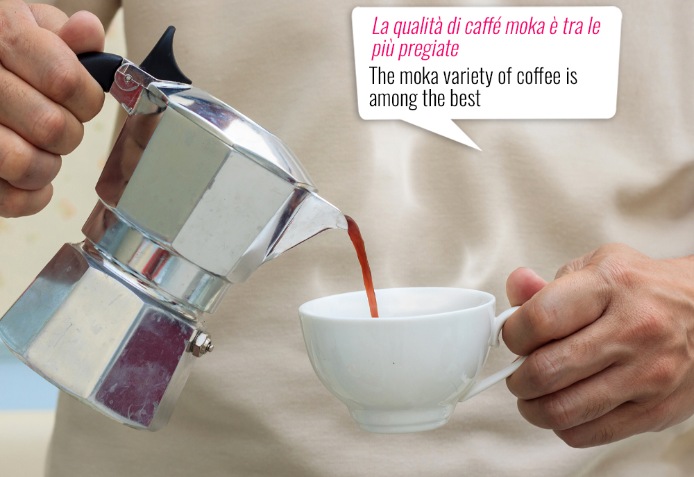 The Iconic (and Stylish) Moka Pot – CaffeUmbria