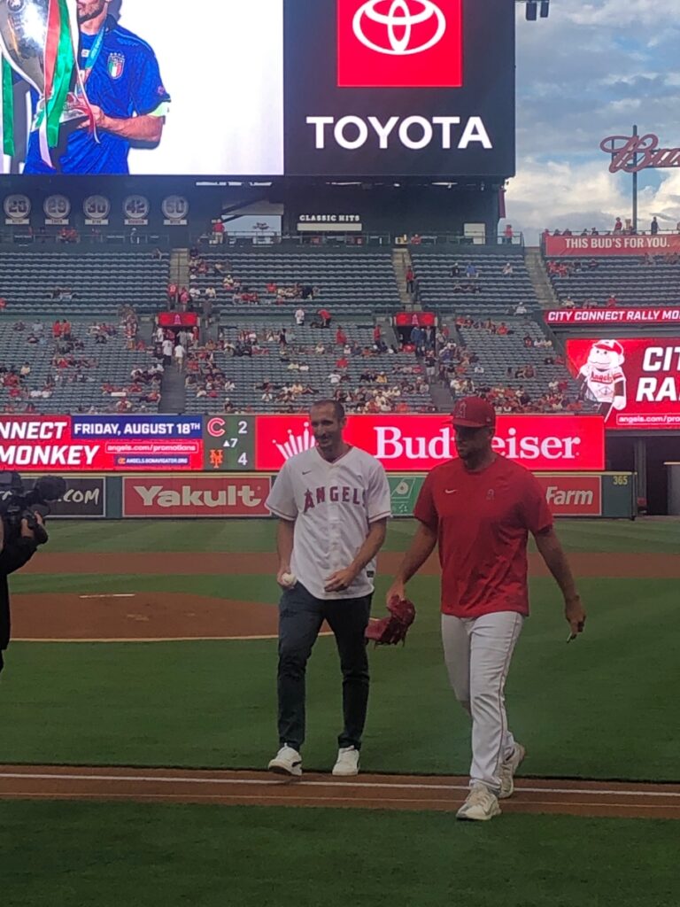 IABF Celebrates Italian Heritage Night in Miami - Italian American Baseball  Foundation